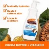 Palmers Cocoa Butter Formula Body Lotion Cocoa & Shea - 13.5 fl oz - 4 of 4