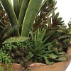 Uttermost Salar Succulents in Hand-Carved Teak Bowl – 22″ W x 20″ H – Green, Bronze, Yellow Artificial Arrangement - 4 of 4