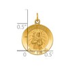 Black Bow Jewelry 14k Yellow Gold Solid St. Roch Medal Charm or Pendant - 4 of 4
