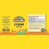 Nature's Blend Lysine 500mg Tablets - 100 Count - 2 of 3