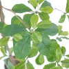 Fake Schefflera Tree, 7FT Fake Tree, Outdoor Fake Potted Silk Plant, Artificial Plants Indoor, Tall Fake Plants Indoor Artificial Trees - 3 of 4
