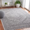 Adirondack ADR108 Non-Shedding Power Loomed Indoor Rugs - Safavieh - 2 of 4