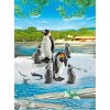 Playmobil Penguin Family Building Kit - image 2 of 4