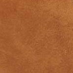 cinnamon