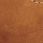 cinnamon