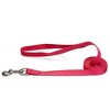 Casual Canine  Basic Nylon Dog Leash, 4-Feet x 5/8-Inch Lead, Raspberry Sorbet - 2 of 2