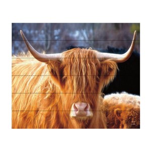 Trademark Fine Art Nathan Larson Highland Cow Sunshine Wood Slat Art - 1 of 4