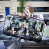 Accoutrements Car Full of Squirrels 50" x 27-1/2" Auto Sunshade - 3 of 4