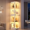 Fredees 65" Glass Display Cabinet with Doors, Tri-Color Lighting and Motion Sensor, 4-Tier Curio Cabinet - 3 of 4