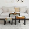 vidaXL Side Table Set of 3 Sofa End Table Nesting Coffee Table Solid Wood - Solid Reclaimed Wood - 3 of 4