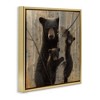 Stupell Industries Forest Black Bear and Cubs, 25" x 25" - 3 of 4
