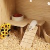 Angel Sar Wooden Hamster Platform, Natural Wood Small Animal Climbing Toy with Ladder, Hamster Cage Accessories for Exercise and Play, 12x7x11 Inches - 2 of 4