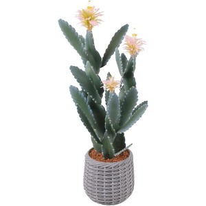Artificial Prickly Pear Cactus in Plastic Pot, Lifelike Potted  Ear Cactus for Balcony, Living Room, Kitchen, Office, Patio, Entranceway, White - 1 of 4