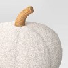 Teddy Boucle Shaped Pumpkin - Threshold™ - 3 of 3