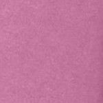 mauve orchid