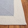 Braided BRA281 Hand Woven UV Resistant, Stain Resistant, Non-Shedding Machine Washable Indoor Rugs - Safavieh - 3 of 4