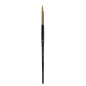 Princeton Series 6300 Dakota Synthetic Bristle Long Handle Brushes, Round - 1 of 1