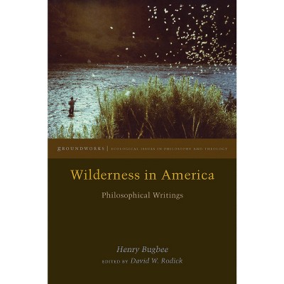 Wilderness in America - (Groundworks: Ecological Issues in Philosophy and Theology) by  Henry Bugbee (Paperback)