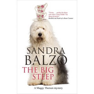 The Big Steep - (Maggy Thorsen Mystery) by  Sandra Balzo (Hardcover) - 1 of 1
