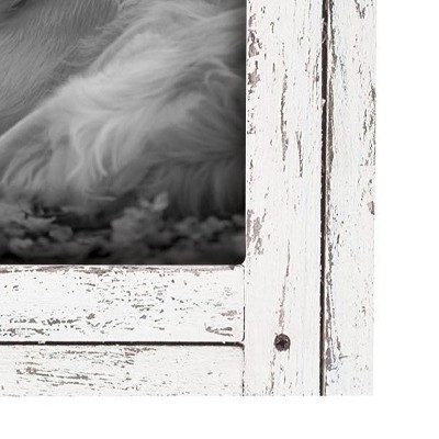 White Distressed Wood 8x10 Tabletop and Wall Frame