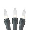 Novelty Lights 100 Light Incandescent Mini Christmas String Lights Black Wire 50 Feet - 3 of 4