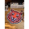 Lany Space Jessica Miller Funky Statement Tiger Rug - 3 of 4