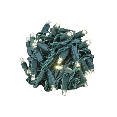 Novelty Lights LED Christmas String Lights 50 Mini Bulbs (Green Wire, 17 Feet)