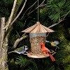 phiestina Bird Feeder with Lid, Heavy-Duty Metal, Petals-Shaped Roof, 360° Feeding Ports, Bronze - 4 of 4