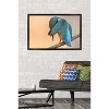 Trends International The Comedy Wildlife Photography Awards: Antonio Medina - Ashamed Framed Wall Poster Prints - 2 of 4