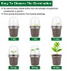 iMountek"30Pcs Seed Starter Pots with Domes – PET Nursery Containers with Drain Holes for Plant Propagation"Transparent - 4 of 4