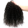 Unique Bargains 9A Brazilian Curly Human Hair Extension Natural Black 26" 1 Bundle - 3 of 4