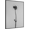 32" x 42" Amid The Flowers XVI by Teis Albers Framed Canvas Wall Art Print - Amanti Art: Modern Botanical Decor - 2 of 4