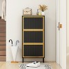 Halitaa 3 Metal Door Shoe Rack, Freestanding Modern Shoe Storage Cabinet, Metal rattan, for Entryway - 2 of 4