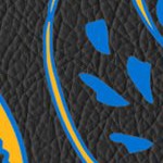 st louis blues