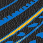 st louis blues