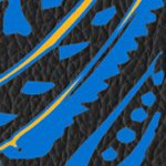 st louis blues
