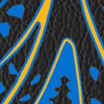 st louis blues