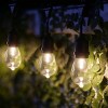 10ct Integrated LED Edison Bulb String Lights with Timer - Black Wire - Alpine Corporation - 3 of 4