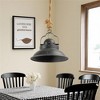 Industrial Vintage Black Pendant Light with Rope Hanging Detail, Farmhouse Style, 19.5" Diameter Fixture, 1pc - 3 of 4