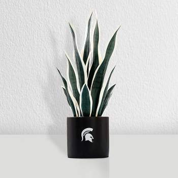 CG Hunter Faux Snake Plant, Premium Artificial Indoor Plant Stands 40” Tall  and Enhances Interior Design, Lifelike-Leaves Create Realistic Natural