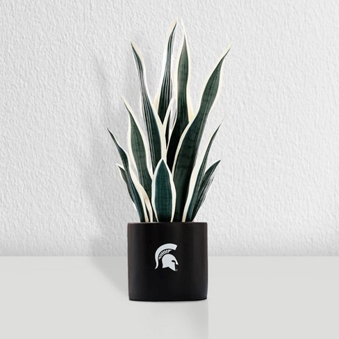 Forever Leaf Michigan State Faux Snake Plant, Indoor Artificial Plant for  Home Decor