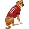 NHL Carolina Hurricanes Pets Jersey - 4 of 4