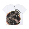Jurassic Park T-Rex 4-Pack Boy's Crew Neck Short Sleeve T-shirt Combo Set - 2 of 4