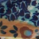 blue butterfly
