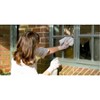 3pk Floral Print Rubber Garden Gloves - Ultimate Innovations - 2 of 3