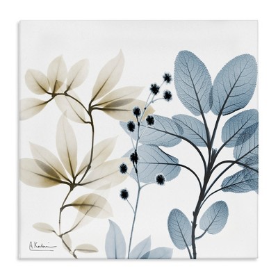 Stupell Industries Modern Herb Sprigs, 30" x 30"