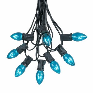 Novelty Lights 25 Feet C7 Christmas String Light Set, Vintage Holiday Hanging Light Set, Black Wire - 1 of 4