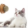 Rotating Natural Catnip Ball,Molars Cleans Teeth Bites Catnip Balls,Healthy Promote Digestion Cat Grass Snack - 3 of 4