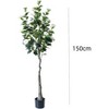 Acekool 2-Pack Artificial Camellia Trees with White Flowers and Realistic Leaves, Potted Floor-Standing Faux Indoor Plant Décor - 4 of 4