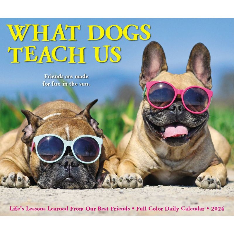 Willow Creek Press 2024 Daily Desk Calendar 5.2&#34;x6.2&#34; What Dogs Teach Us, 5 of 6